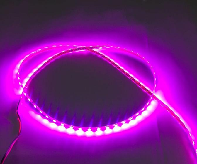 Led dây màu tím